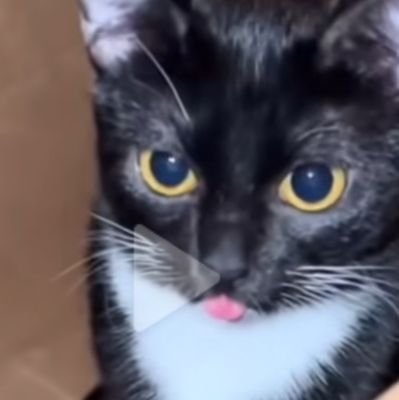 condon_mikey655's profile picture. 