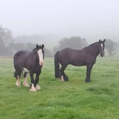 Time1918Time's profile picture. 