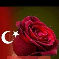 Mustafa Erol (@erol_mustafa2) 's Twitter Profile