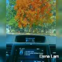 Elena Lam (@elenalm96) 's Twitter Profile