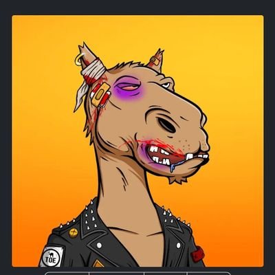 Collaboration Manager for
@cameltoecan https://t.co/dJtorngivi
https://t.co/XJvFP2UhMc