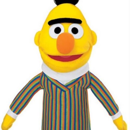 11_Sanderson's profile picture. 