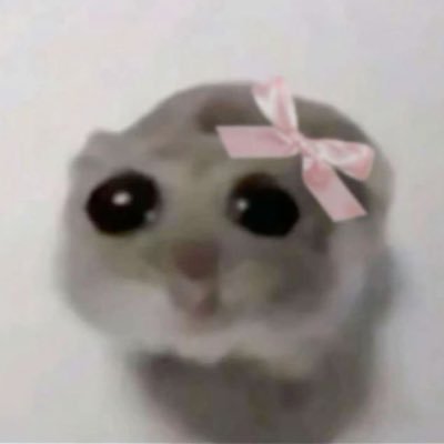 GieniaKsenia's profile picture. Tak sobie przeglądam twittera