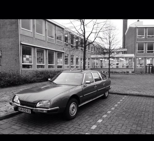 tempete001's profile picture. Francofiel.