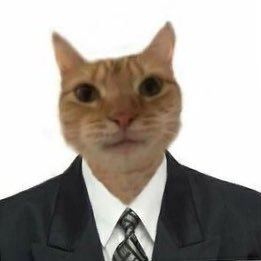 princess_dwstan's profile picture. 𝓘𝓯 𝔂𝓸𝓾 𝓴𝓷𝓸𝔀 𝓱𝓸𝔀 𝓽𝓸 𝓫𝓮 𝓶𝔂 𝓵𝓸𝓿𝓮𝓻 | 𝓘 𝓬𝓸𝓾𝓵𝓭 𝓼𝓲𝓷𝓰 𝓪𝓫𝓸𝓾𝓽 𝓱𝓸𝔀 𝓵𝓸𝓿𝓮 𝓲𝓼 𝓪 𝓵𝓸𝓼𝓲𝓷𝓰 𝓫𝓪𝓽𝓽𝓵𝓮🌱