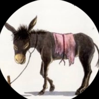 kanosibo's profile picture. 