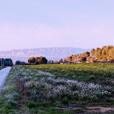 Usersupr's profile picture. 🥋