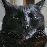 John Davis VI (@bubbadavisjohn) 's Twitter Profile