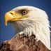 Brandy Dupper-Macy (@macydupper58745) Twitter profile photo Brandy Dupper-Macy (@macydupper58745) Twitter profile photo