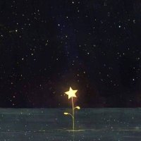 petra (@petralovesstars) 's Twitter Profile Photo petra (@petralovesstars) 's Twitter Profile Photo