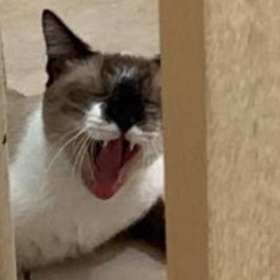 mkxxpj's profile picture. pensamentos