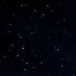 anhdudu21211's profile picture. $FAN Maxi