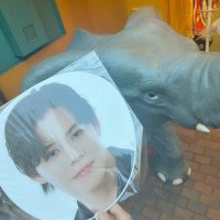๐ญ๐จ๐ฆ๐จ๐ณ๐จ๐ (@kmzo__05) 's Twitter Profile