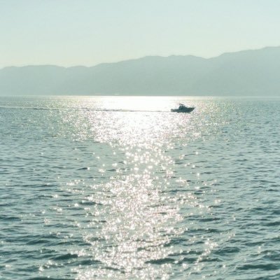 k1y0m0m0's profile picture. scoo（p） 短歌/詩/自由律 2025.01