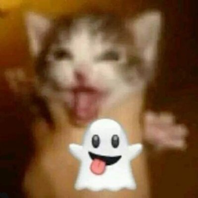 avril123gabri's profile picture. 