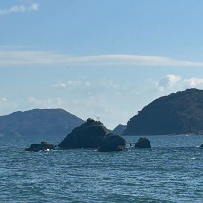 kouapple17's profile picture. MNP、🍎初心者 法人設立済