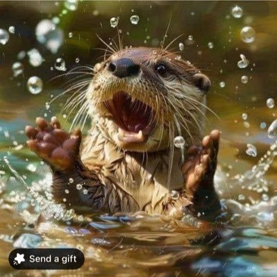 Luci_Cres's profile picture. Mom, wife, teacher, kayaker, crocheter, & baker