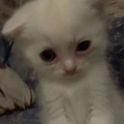 Nollimits27's profile picture. سبحان الله و بحمده سبحان الله العظيم ❤️