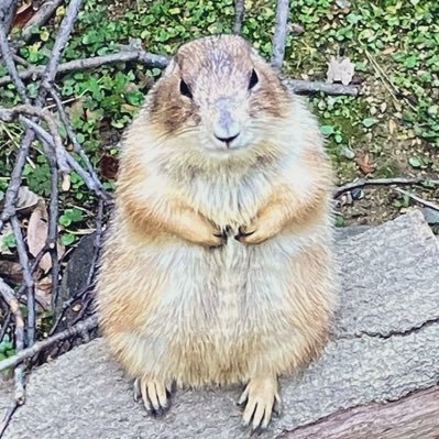 遠山さんのプロフィール画像