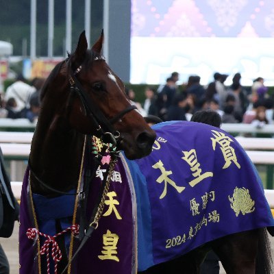 ドウデュースにファンメイドの馬着を贈るプロジェクトを行っています
ぜひ、ご協力よろしくお願いします!
#ドウデュース#DoDeuce