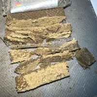 Britain Green Bot (@stonedilluminat) 's Twitter Profile