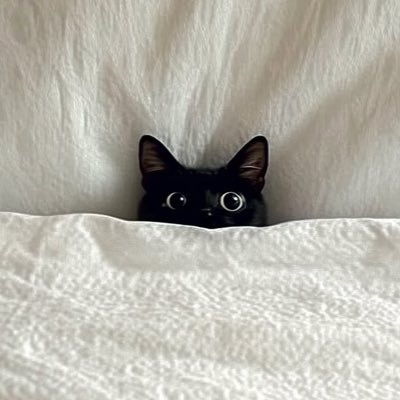 PHROYjk9's profile picture. sleeeeeeeep~~