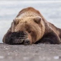 Ebraa (@ebramayman9) Twitter profile photo