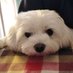 Άγγελος... - (@agpapadop) Twitter profile photo Άγγελος... - (@agpapadop) Twitter profile photo