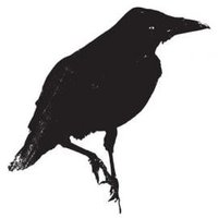 Pascal Fournier (@pascalf24805417) 's Twitter Profile