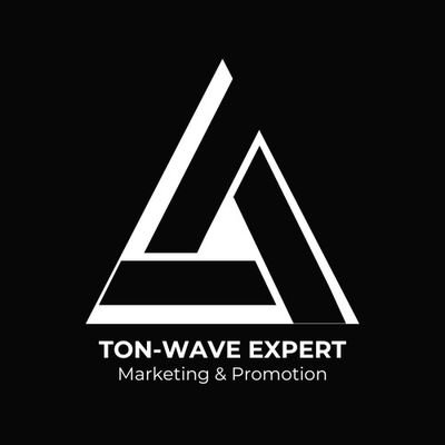 Co-founder of T-Wave team/Digital marketer/Crowdfunding Campaign expert/ Landing page designer