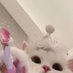 🎀 (@minmin525_) Twitter profile photo 🎀 (@minmin525_) Twitter profile photo