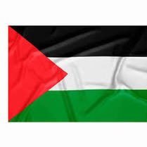 Palestine journalist GAZA. my voice will never be silenced