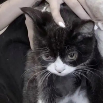 JpiwsWerv's profile picture. 