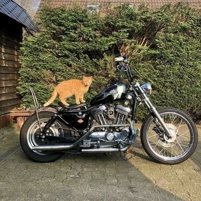 mandyjoy45084's profile picture. lonely 😔