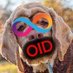 โOld ICP Dogโ (@old_dogx) Twitter profile photo โOld ICP Dogโ (@old_dogx) Twitter profile photo