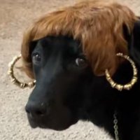 guirishauri*-* (@raianamoraesss) 's Twitter Profile Photo guirishauri*-* (@raianamoraesss) 's Twitter Profile Photo