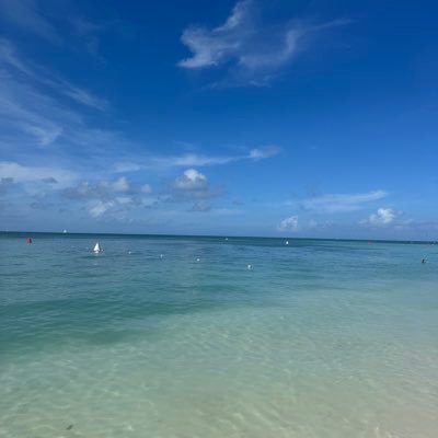 boymanrobshit's profile picture. AI Infra PM. Ramblings on this and that. Pretty market focused right now. Tech and all things AI.