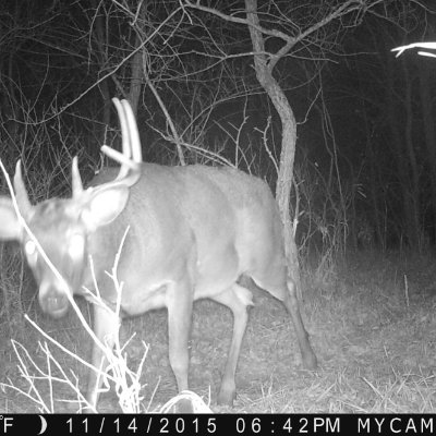 rsnbkr61736's profile picture. 