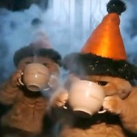 So haila✨ (@sohilaelhaila) Twitter profile photo