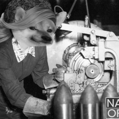 Medicine/Music/Composer/Gamer/Engineering/Design/Research 🇬🇧🇪🇸spoken/🇵🇱🇯🇵🇺🇦learner/Ukrainian blood runs in my veins 💙💛 Joyful US Bastard #NAFO