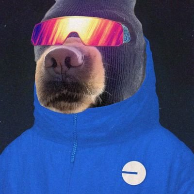 DDunque's profile picture. all in on $ski