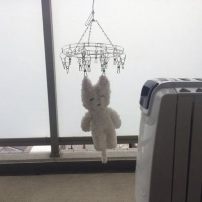 무さんのプロフィール画像