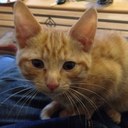 Rodney Wheeler - @would_rgw - Twitter