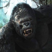 King Kong Perfect Shots (@kongshots) 's Twitter Profile Photo King Kong Perfect Shots (@kongshots) 's Twitter Profile Photo