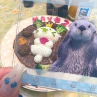 おはむ◝✩ (@__hamchama) Twitter profile photo