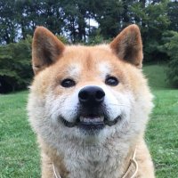 イサラ (@proyeccion) 's Twitter Profile
