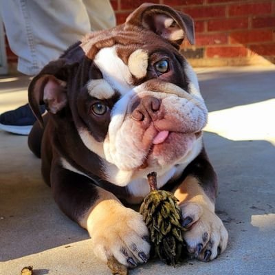 PennyTX47's profile picture. Rebuilding Again!  ???Times A Charm?