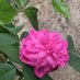 Therese Raj Kumar (@thereserajkumar) Twitter profile photo Therese Raj Kumar (@thereserajkumar) Twitter profile photo