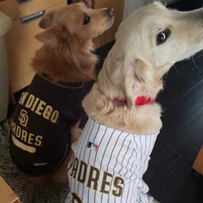 ❤️ SD Padres.. .. ... Go Aztecs.. … Go SDFC basketball & football truther. I just mute LAD & LAC fans now. #bitcoin