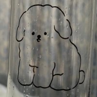 アキトラ (@akitora2003) 's Twitter Profile